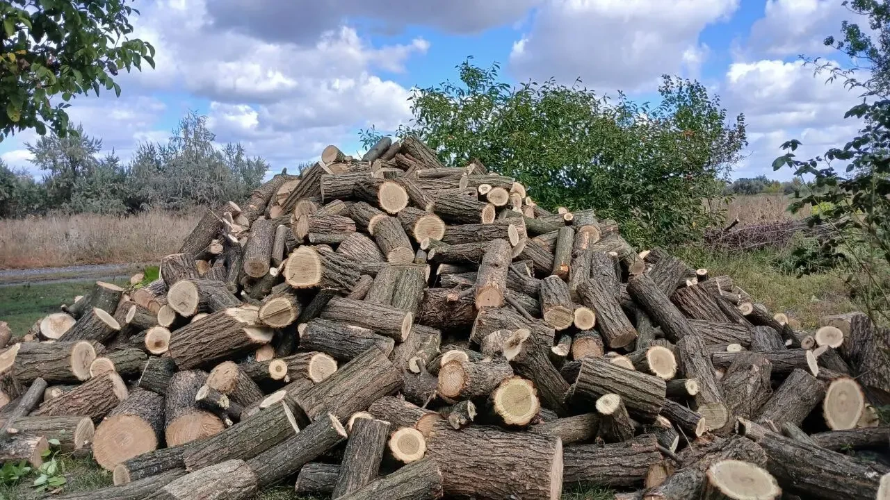 Дрова колотые Дуб, Акация. Доставка Кременчуг и обл. 3