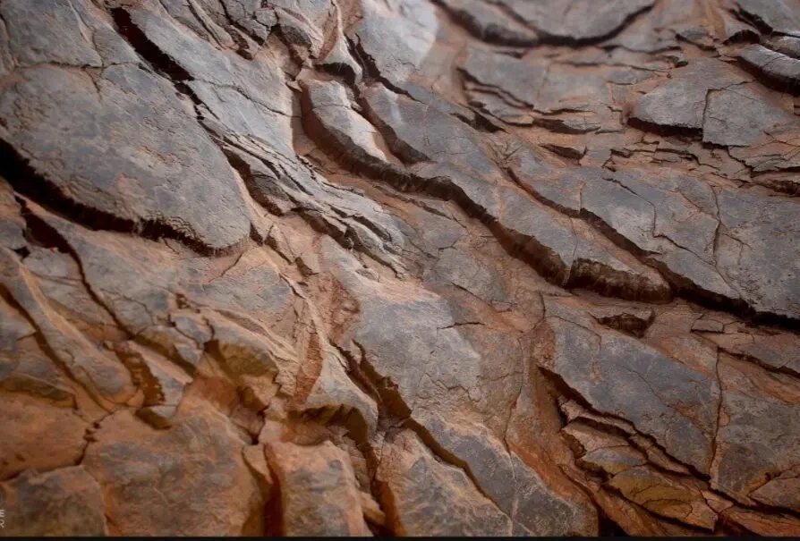 Скала фактура камня дизайн интерьера Киев 3