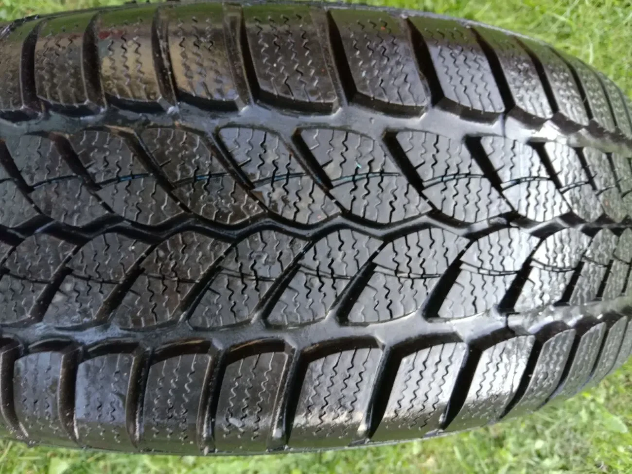 Зимова шина