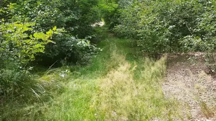 Відео